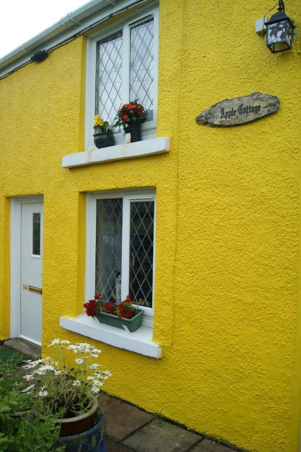 Apple Cottage Brynamman Extérieur photo